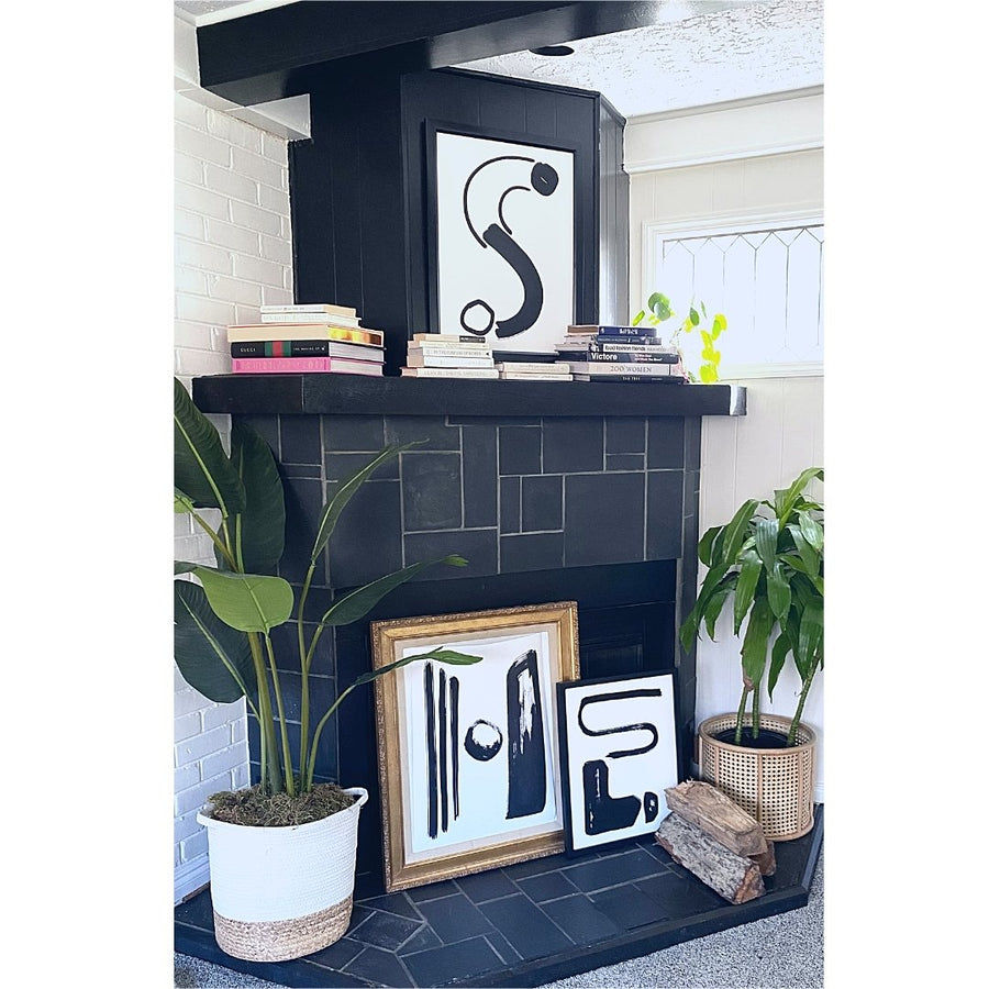 Cash Color Black and White Letter S Print