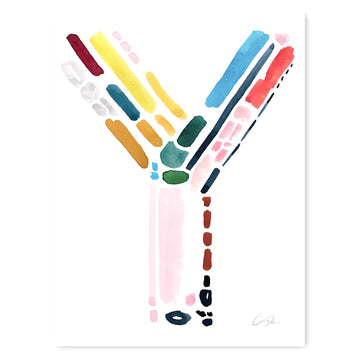 Color Letter Y Print by Artist Caitlin Shirock